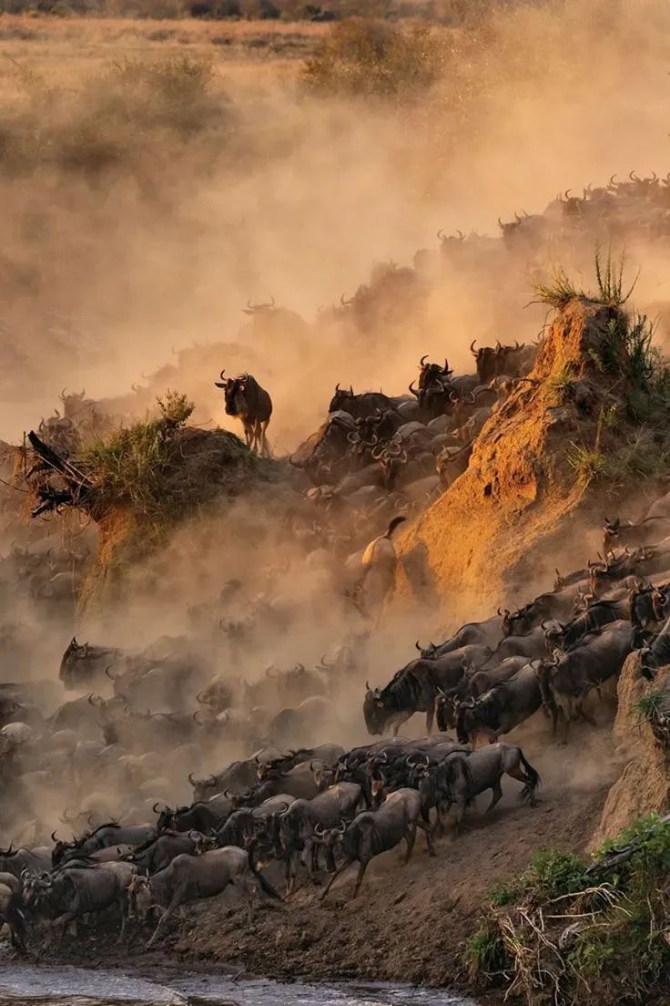 9月底10月初，住在哪里更适合看大迁徙？